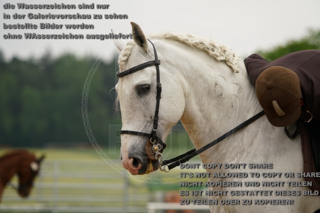 s_K3F03788.JPG